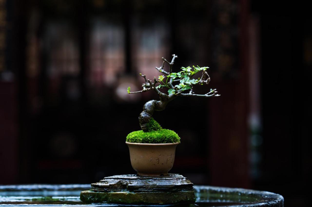Hotel Xiamen Lanqin Gucuo Mansion Zewnętrze zdjęcie